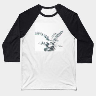 Eucalyptus Shadows II Baseball T-Shirt